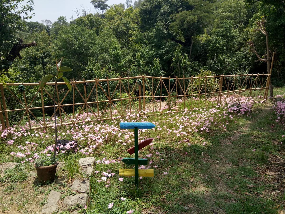 Хостел Hots Nainital Patwa Dunga Экстерьер фото